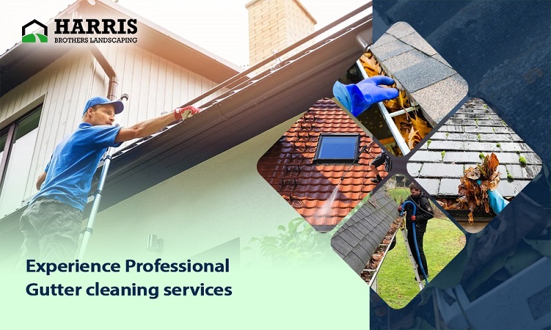 Reliable Gutter Cleaning in Hammonton NJ  Harris Brothers  - New Jersey - Jersey City ID1606335