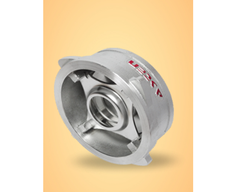 Disc Check Valve manufacturer - Gujarat - Ahmedabad ID1603172
