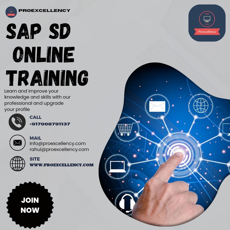 Empower Your Sales Team SAP SD Online Training Benefits - Karnataka - Bangalore ID1556672