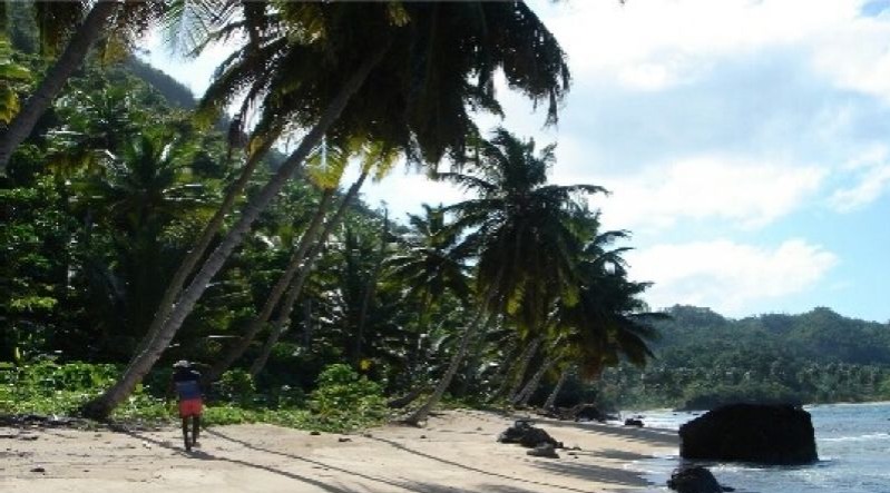 Terrenos Lineales A La Playa Las Terrenas! - New York - New York ID1610993 3