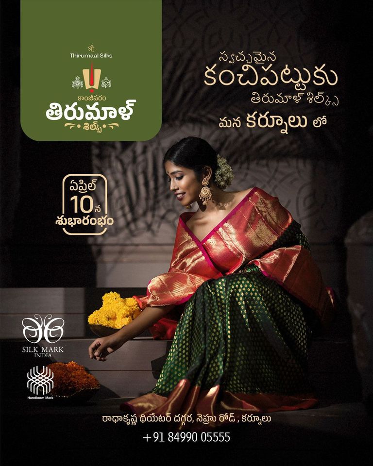Gracefull Collection of Konchipuram Silk Sarees in Kurnool  - Andhra Pradesh - Kurnool ID1551270