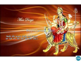 Most Horoscope by Get your Lost Love Specialist 91 80800223 - Maharashtra - Navi Mumbai ID1523532