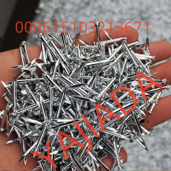 Low price Common nails carpentry nails 2 12 common - Assam - Guwahati ID1596229