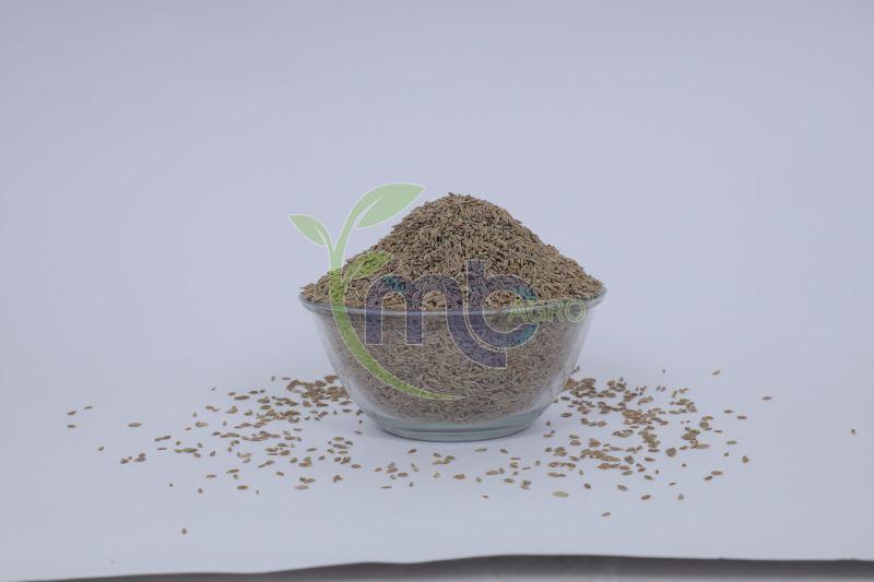 Natural Cumin Seeds Supplier - Gujarat - Surat ID1621353