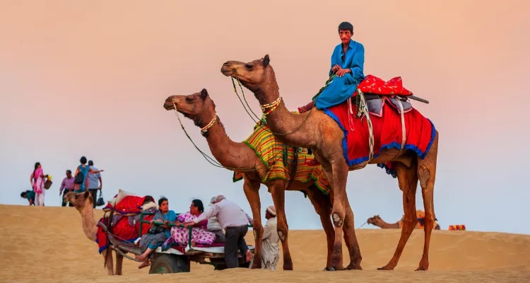 Luxury Rajasthan Tour Packages Explore Heritage - New York - New York ID1557106