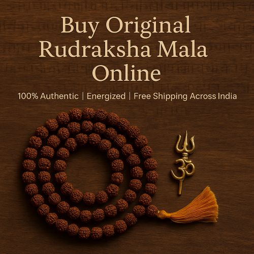 Buy Original Rudraksha Mala Online - Delhi - Delhi ID1609043