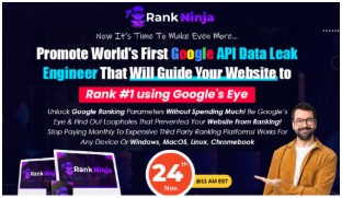 Rank Ninja Review - New York - Albany ID1587631
