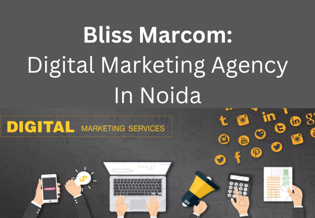Boost Your Revenue with Blissmarcom Premier Digital Marketi - Delhi - Delhi ID1561256