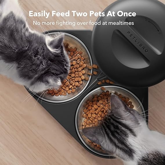 Automatic Cat Food Dispenser for Two Cats 5L Auto Cat Feeder - New York - Albany ID1550918 2