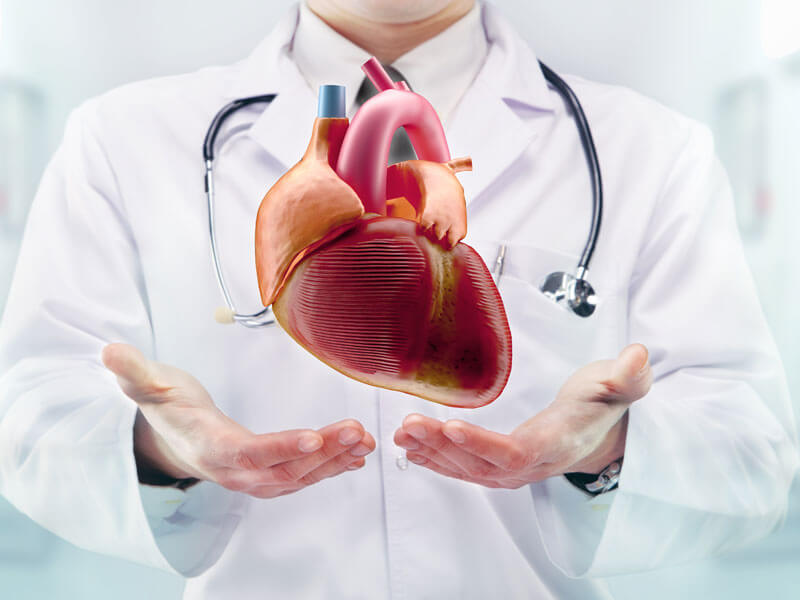TopNotch Heart Specialists in Jaipur - Rajasthan - Jaipur ID1544133