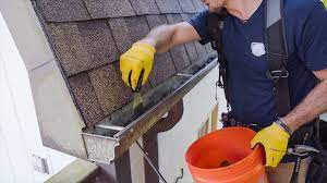 Best Roof Cleaning Services in Lynnwood - Washington - Bellevue ID1549698