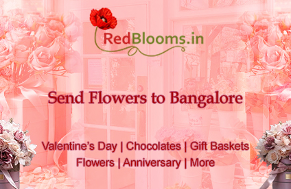 Send Beautiful Flowers to Bangalore  Online Delivery with R - Karnataka - Bangalore ID1549372