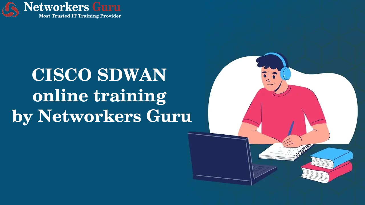 Best SDWAN Training institute in Gurgaon Delhi India - Haryana - Gurgaon ID1555659 1