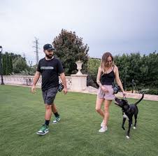 Dog Training Charlotte NC - North Carolina - Charlotte ID1590778