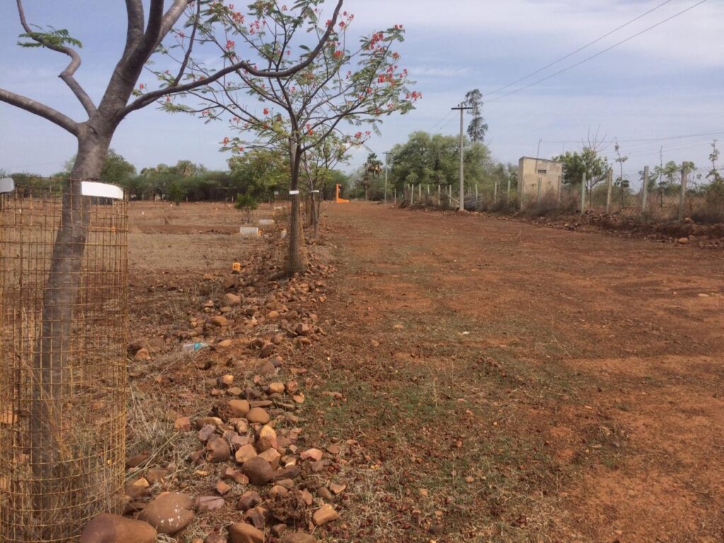  DTCP APPROVED PLOTS FOR SALE AT POONDI - Tamil Nadu - Chennai ID1552077