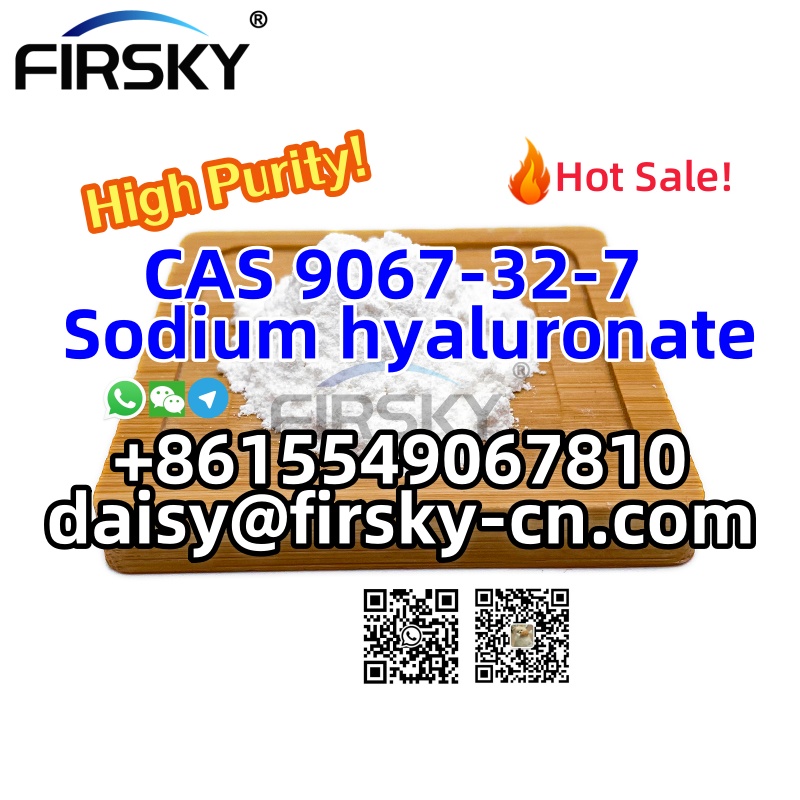 CAS 9067327 Sodium hyaluronate WhatsApp 8615549067810 - California - Chula Vista ID1512381