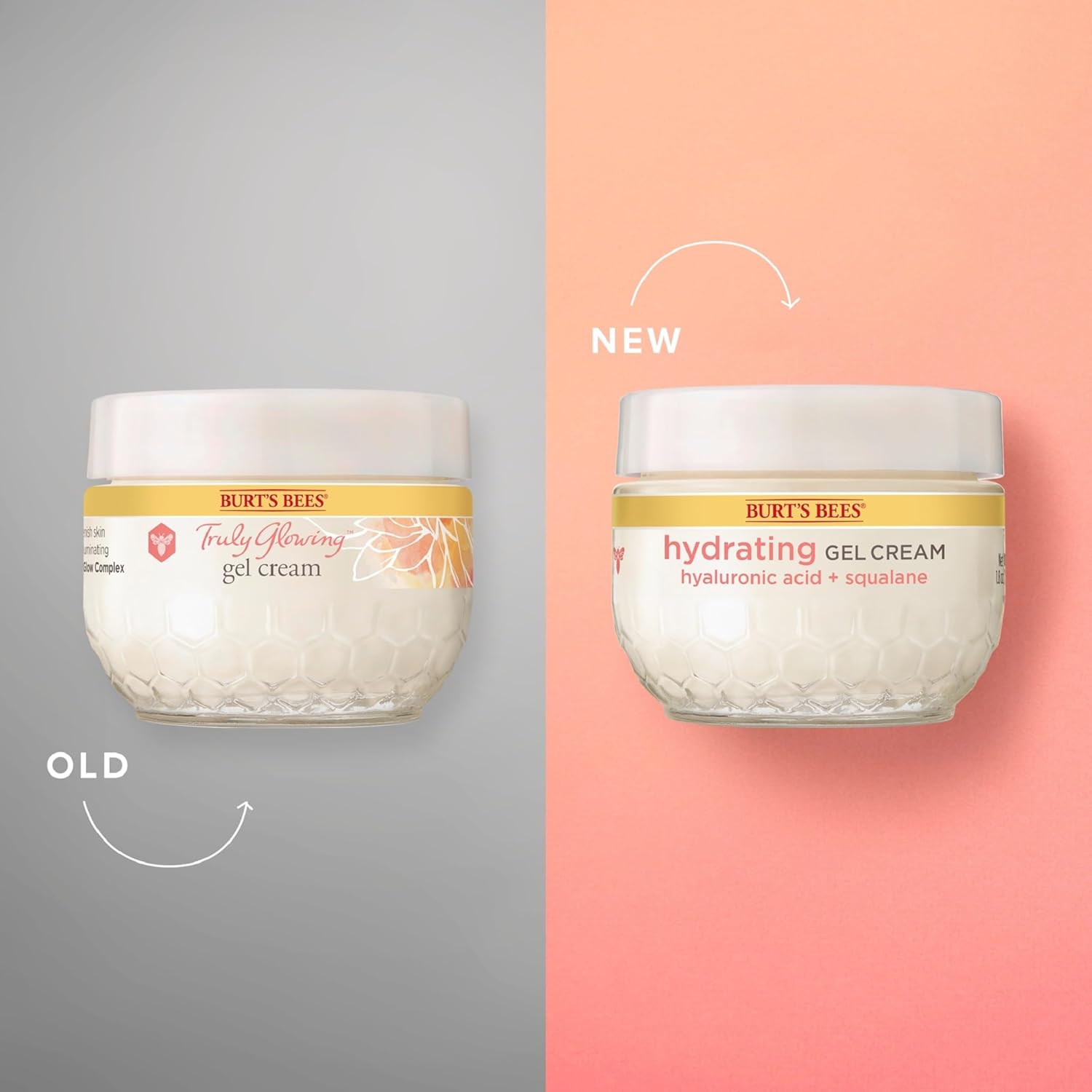 Burts Bees Truly Glowing Replenishing Gel Cream - New York - Albany ID1587727 2