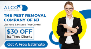 Rat Control in NJ  ALCO Animal  Pest Control - New Jersey - Jersey City ID1616727