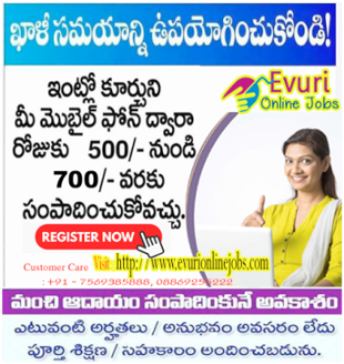 Part Time Home Based Data Entry Typing Jobs  - Andhra Pradesh - Vizianagaram   ID1521789