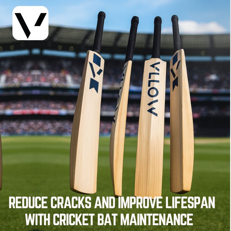 Reduce Cracks and Improve Lifespan with Cricket Bat Maintena - Maharashtra - Mumbai ID1621452
