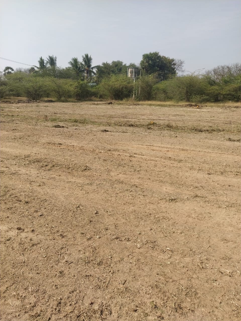 DTCP APPROVED PLOTS FOR SALE AT SEVAPPET - Tamil Nadu - Chennai ID1594333 3