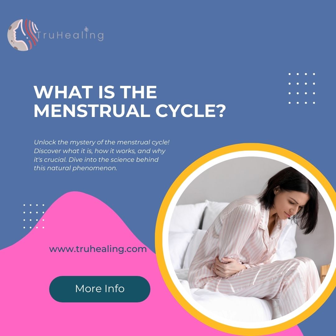 What is the menstrual cycle? - Karnataka - Bangalore ID1547577