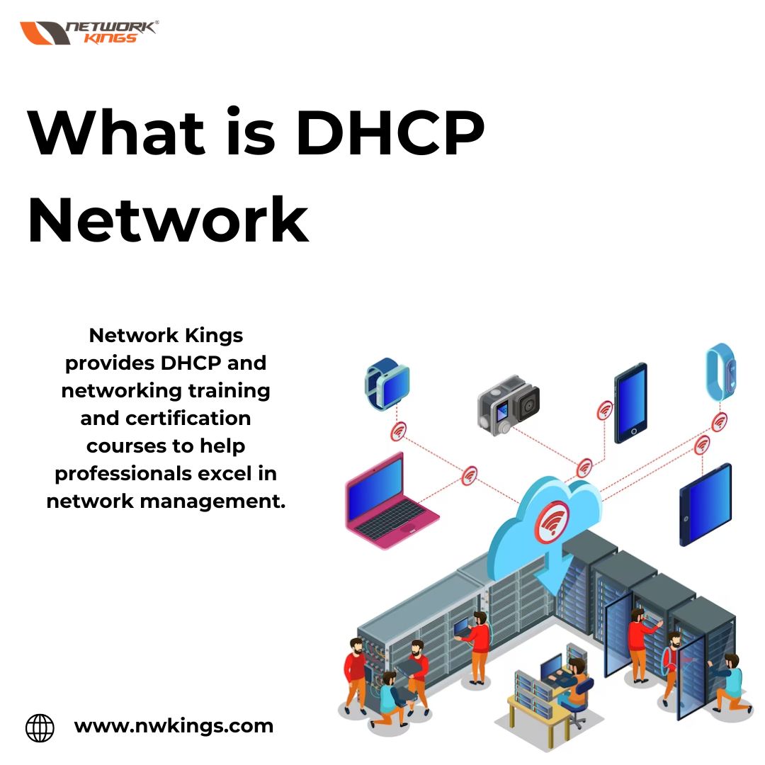 What is DHCP Network  Network Kings - Chandigarh - Chandigarh ID1535989