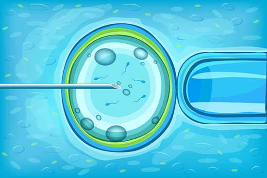 Best IVF Doctors Bengaluru  Free Fertility Consultation  G - Karnataka - Bangalore ID1587374