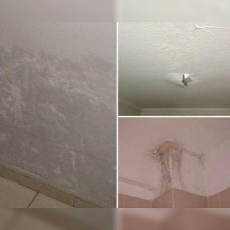 Lluvias Goteras Filtraciones? Resuelvelo Ya! - New York - New York ID1610830 2