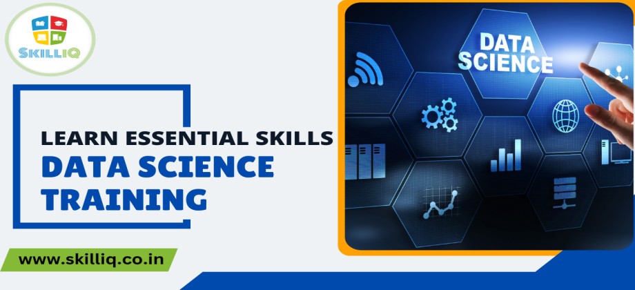 SkillIQ Data Science Training Learn Essential Skills - Gujarat - Ahmedabad ID1535084