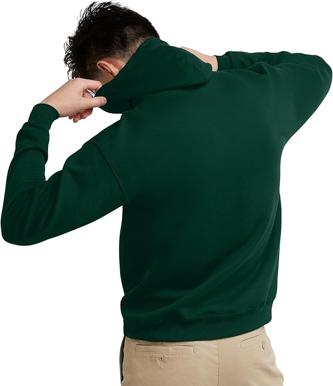 Hanes Mens Hoodie EcoSmart Fleece Hoodie - New York - Albany ID1589825