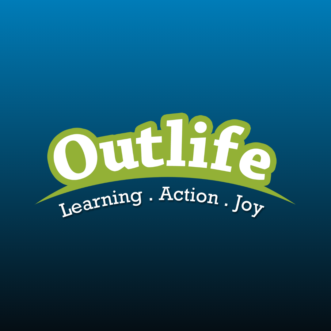 Elevate Your Team with Outlifes Premier Outbound Training P - Chandigarh - Chandigarh ID1526565