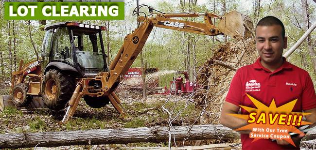 Professional Lot Clearing Service in NJ - New Jersey - Jersey City ID1614956