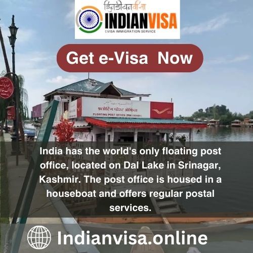 Business Visa India - Michigan - Flint ID1537780