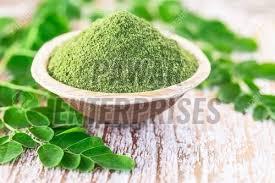 Moringa Powder Exporter - Maharashtra - Pune ID1605910