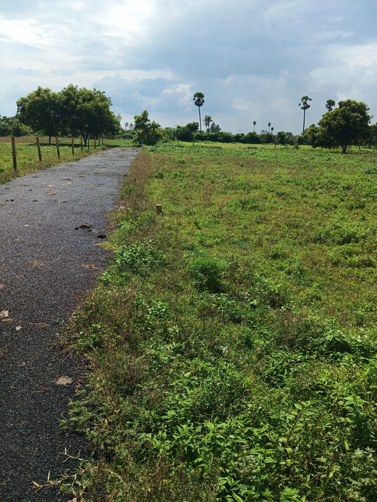 DTCP AND RARA APPROVED PLOTS FOR SALE AT VEPPAMPATTU - Tamil Nadu - Chennai ID1607480 4