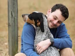 Dog Aggression Training Homestead FL - Florida - Fort Myers ID1587120