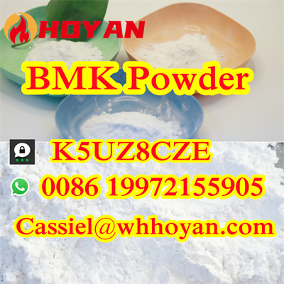 CAS 5449127 BMK Glycidic Acid powder 100 Pass Customs - Alaska - Anchorage ID1551262 3