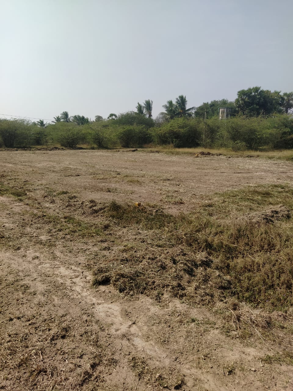 DTCP APPROVED PLOTS FOR SALE AT SEVAPPET - Tamil Nadu - Chennai ID1594554 2