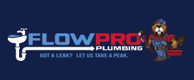 Gas Line Repair Services in Prospect Heights  FlowPro Plumb - Illinois - Chicago ID1543710