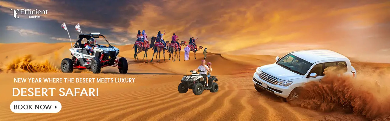 Night Under Stars  Desert Celebration Package - Texas - Dallas ID1619673