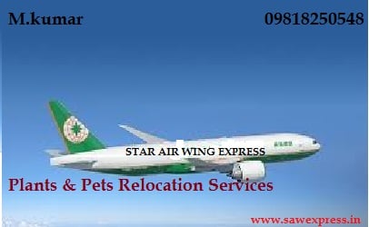 Domestic air cargo - Arunachal Pradesh - Itanagar ID1523779
