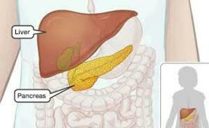 Top Gastroenterologist in Ludhiana  Dr Nitin Behl - Punjab - Ludhiana ID1601820