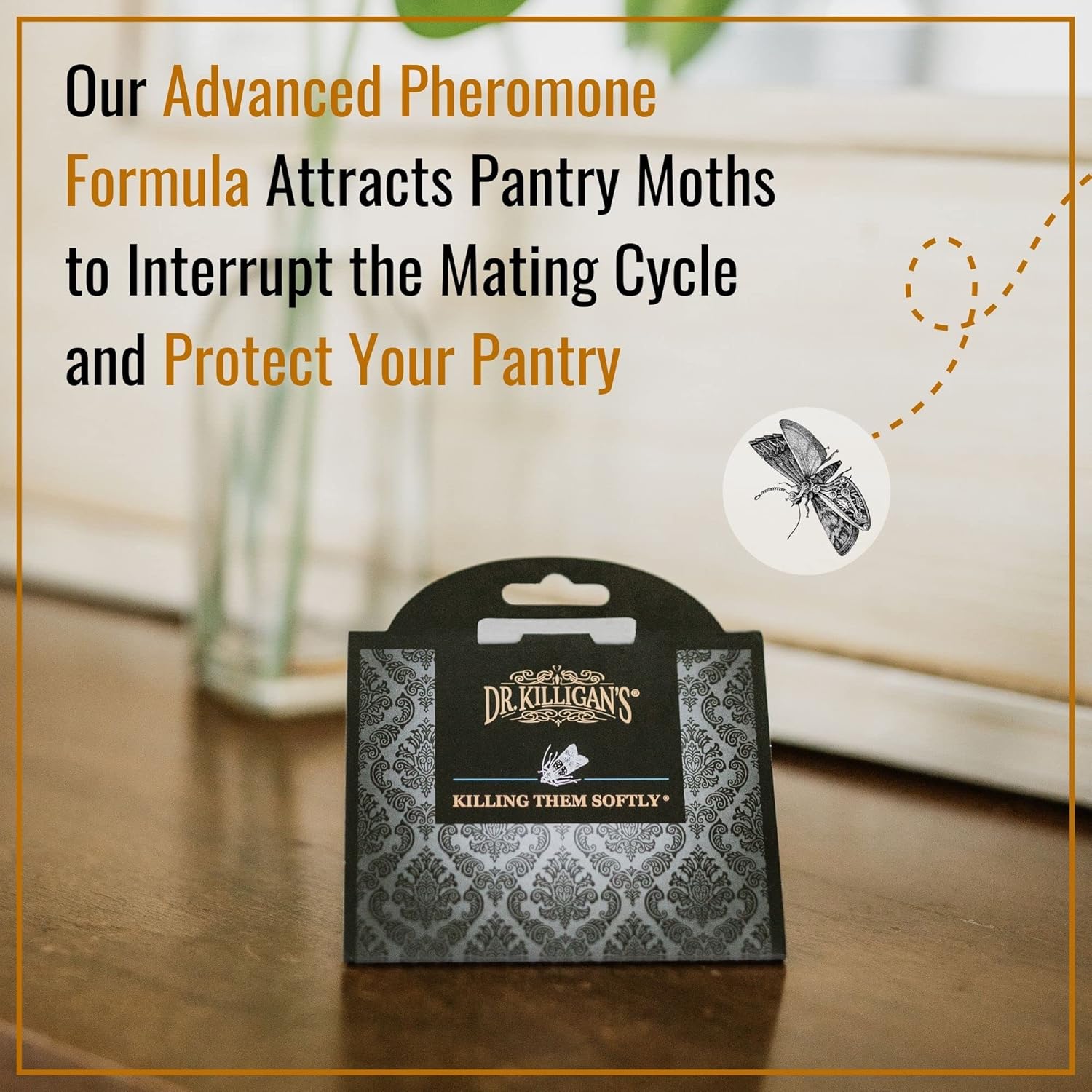 Dr Killigans Premium Double Potent Pantry Moth Traps with  - New York - New York ID1605254 3