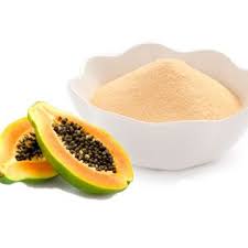 Organic Dried Fruits Powder - Maharashtra - Pune ID1599064