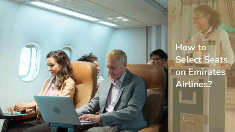 Emirates Seat Selection - Uttar Pradesh - Lucknow ID1594990