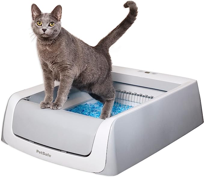 PetSafe ScoopFree Complete Plus SelfCleaning Cat Litterbox  - New York - Albany ID1535608 2