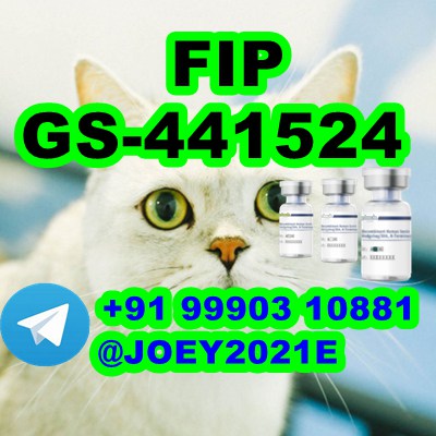  GS441524 cat Fip Feline Infectious Peritonitis - Arizona - Gilbert ID1590010