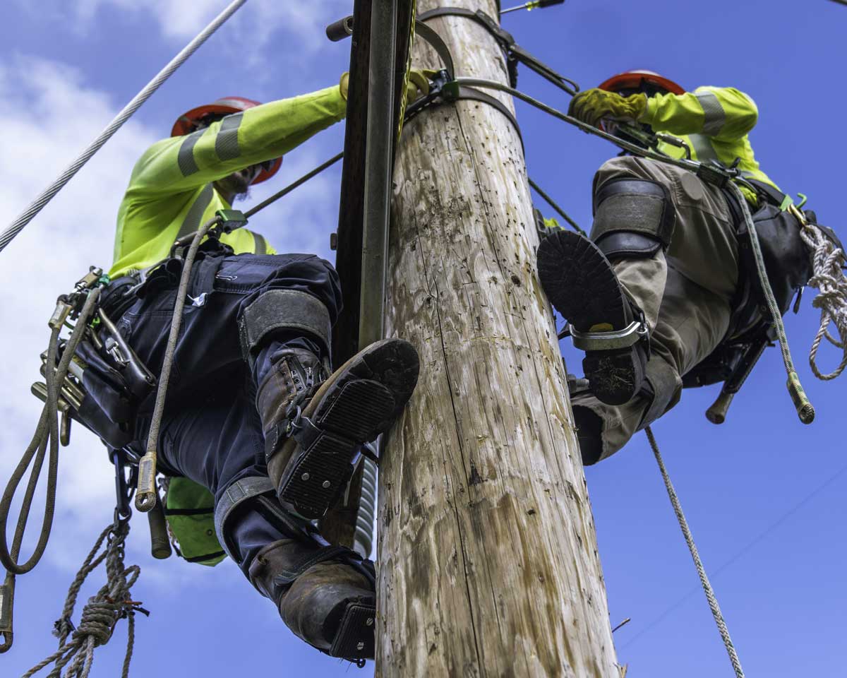 Wholesale Rope - New York - New York ID1619160