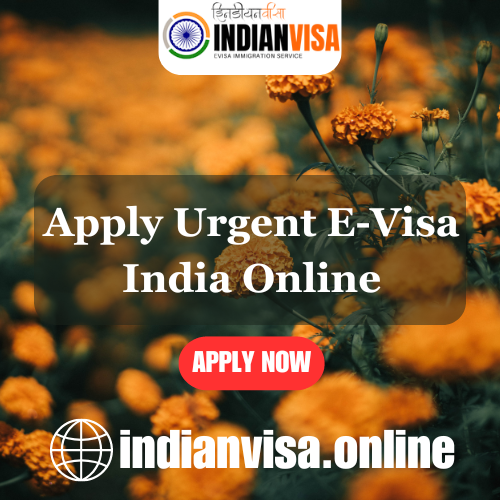 Urgent Evisa India Online - California - Chico ID1557716